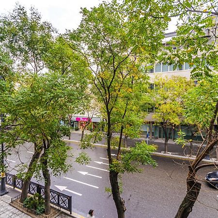 Vip Apartamen Nizami Street Leilighet Baku Eksteriør bilde